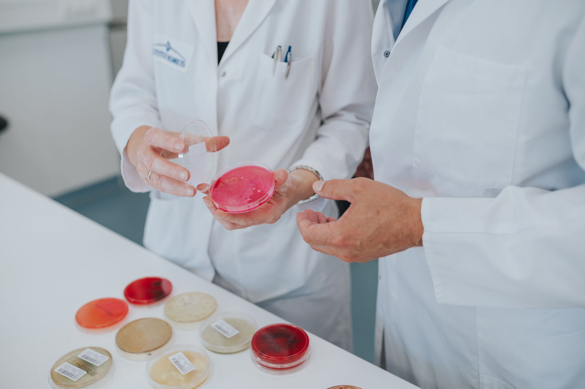 Mikrobiologische Untersuchungen